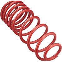 H&amp-R HR 295271 muelles- Rojo